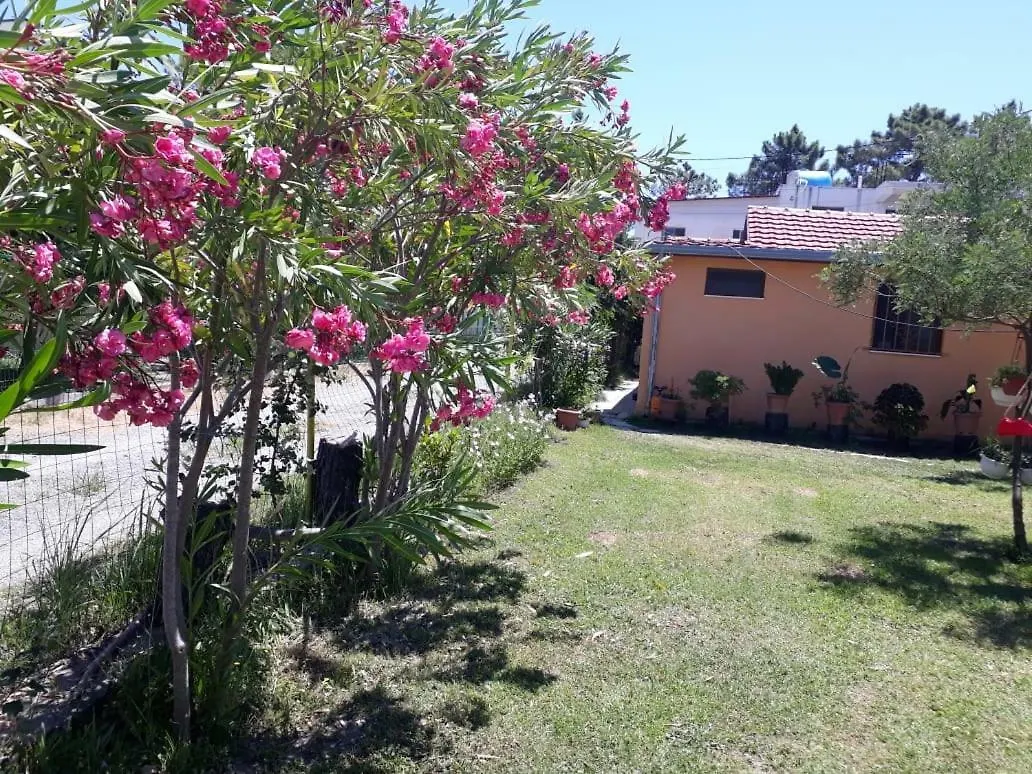 Kolonia E Artistave Apartamento Velipojë