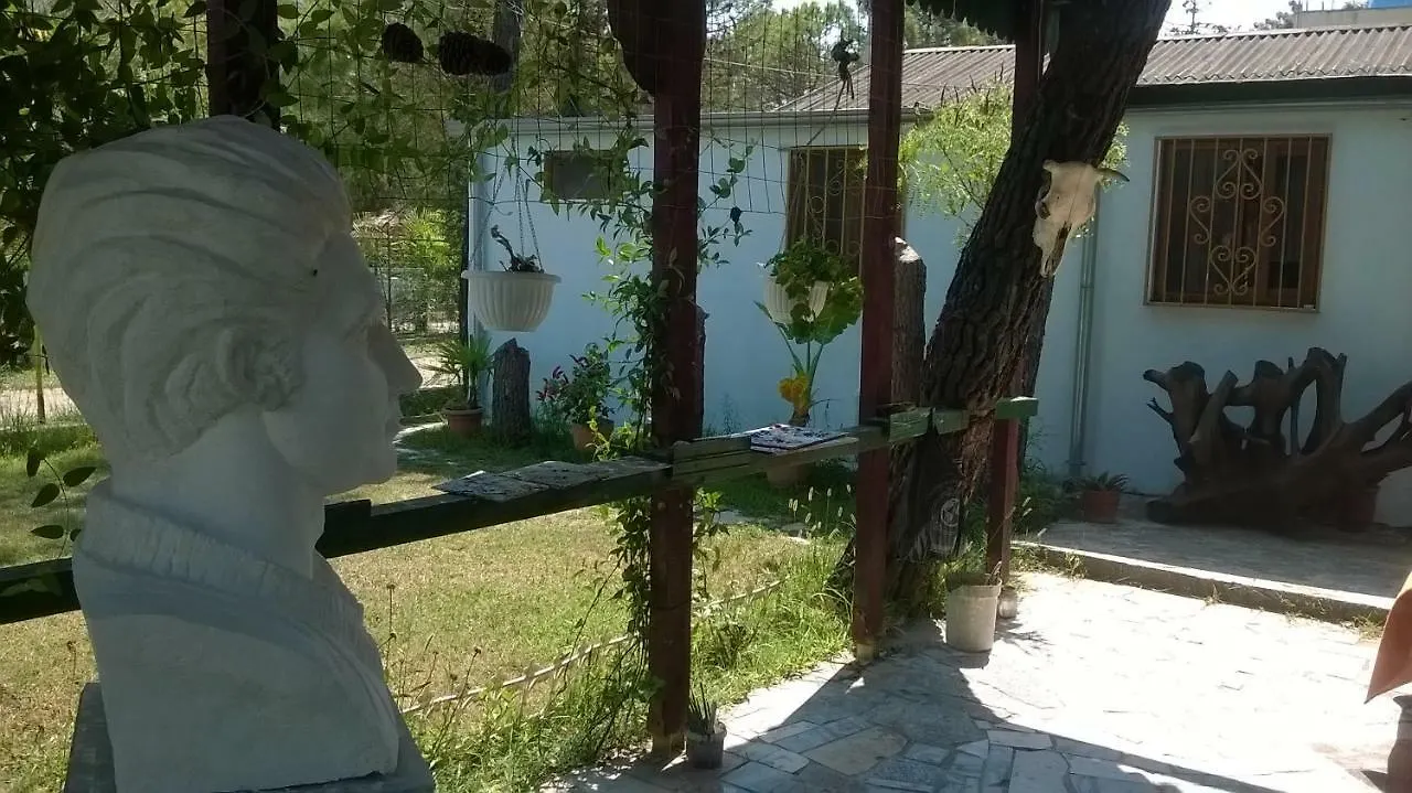 Homestay szállás Kolonia E Artistave Apartman Velipoja Albánia